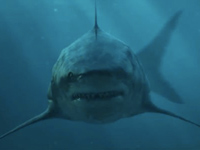 HD Online Player (Shark - Il primo squalo film complet)