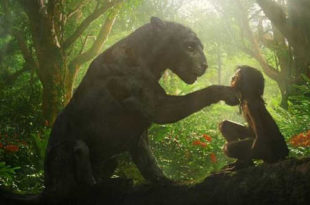 Mowgli, Bagheera, giungla